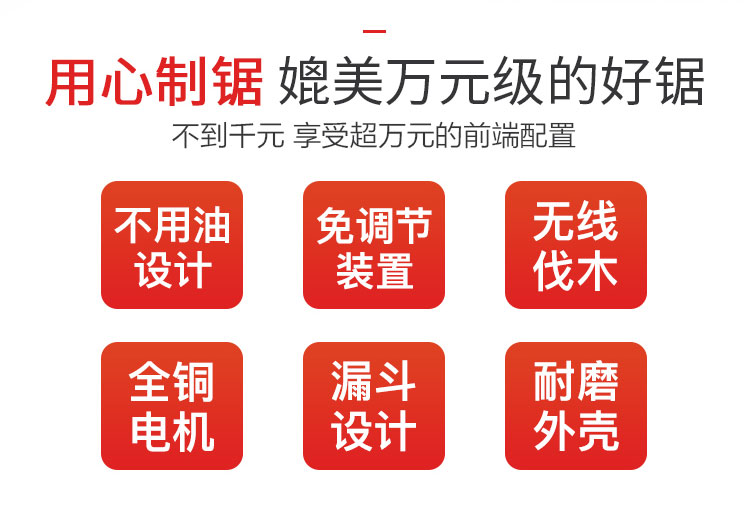 LP10电链锯(图2)